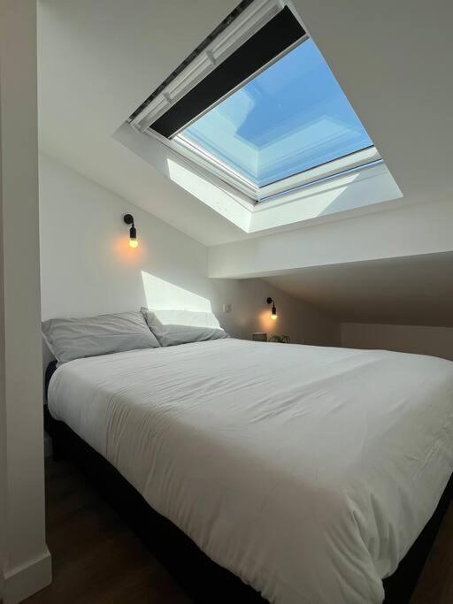 Le Belfort - Grand T2 Climatise En Hyper Centre Toulouse Ngoại thất bức ảnh
