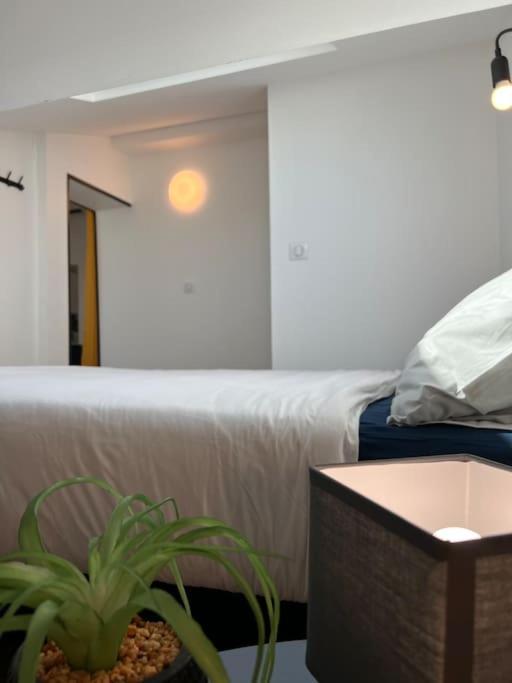 Le Belfort - Grand T2 Climatise En Hyper Centre Toulouse Ngoại thất bức ảnh